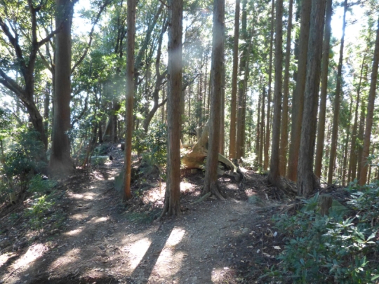 登山道